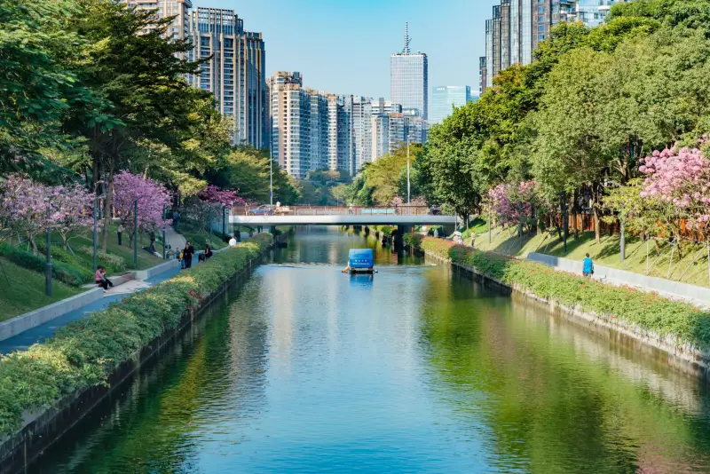 益童前行教育科技产品技术参数对比与教学场景匹配分析